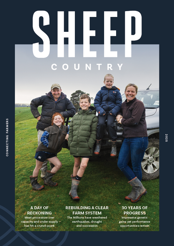 SHEEP Country