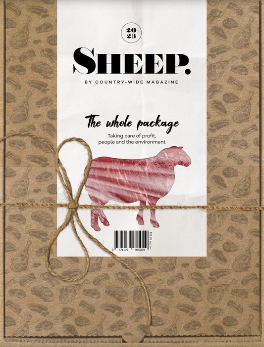 SHEEP 2023 image 0