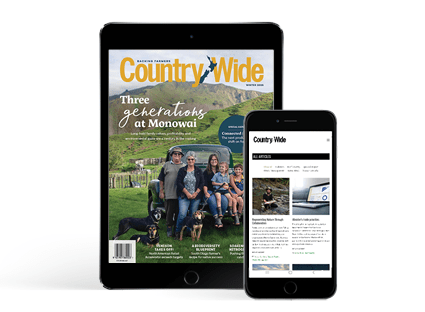 Country-Wide DIGITAL PRO (monthly)