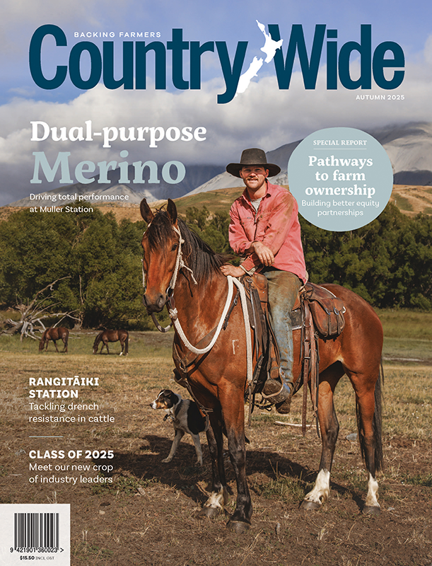 SUBSFLOW TEST CountryWide Single Issue