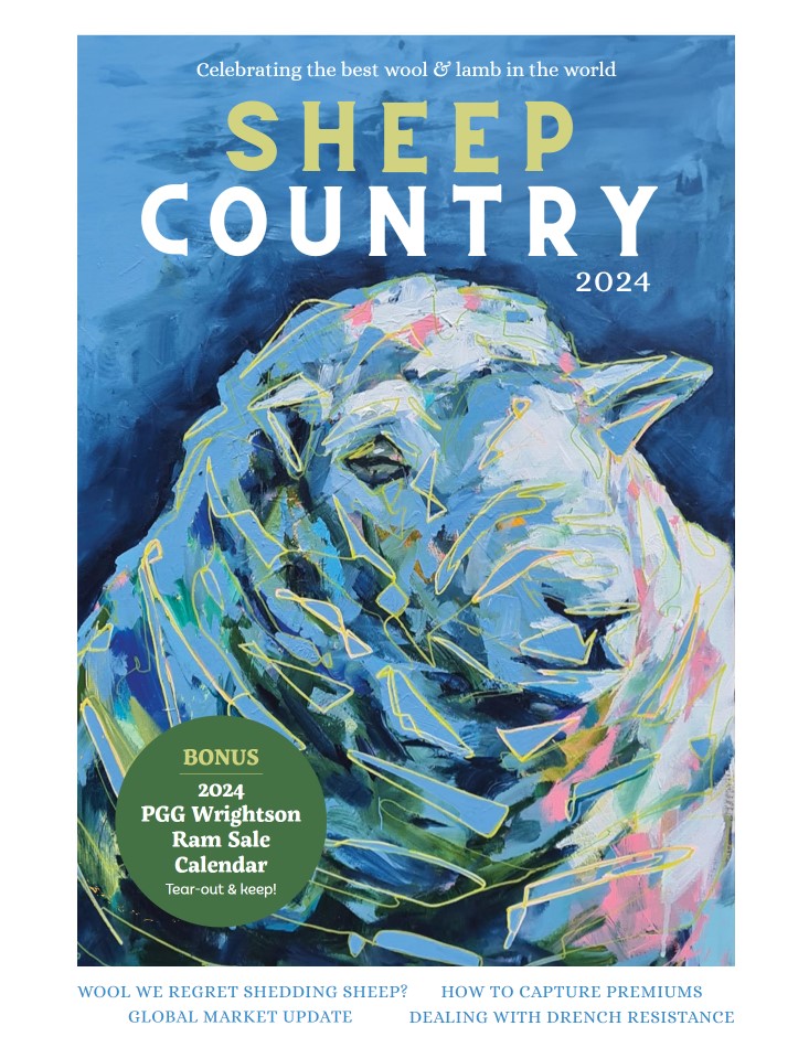 SHEEP Country 2024 image 0